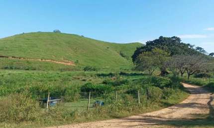 Fazenda Terreno Rural Córrego Novo - MG - Zona Rural