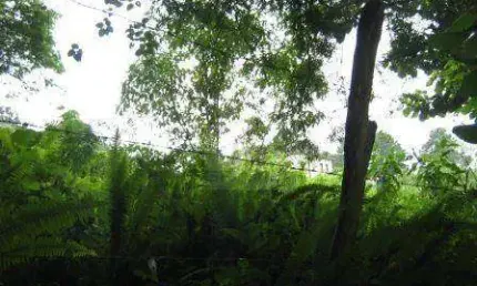 Terreno à venda, 1500 m² por R$ 900.000,00 - Granja Viana - Carapicuíba/SP