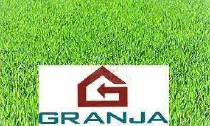 Terreno à venda, 1000 m² por R$ 600.000,00 - Granja Viana - Cotia/SP