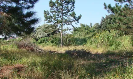 Terreno à venda, 2700 m² por r$ 950.000,00 - granja viana - carapicuíba/sp