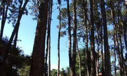 Terreno à venda na Rua Padre Mateus de Lara Leão, Granja Viana, Cotia