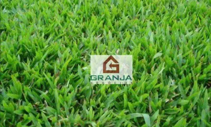 Terreno à venda, 712 m² por R$ 437.000,00 - S F Residencia - Barueri/SP