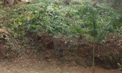 Terreno à venda, 500 m² por r$ 380.000,00 - são paulo ii - cotia/sp