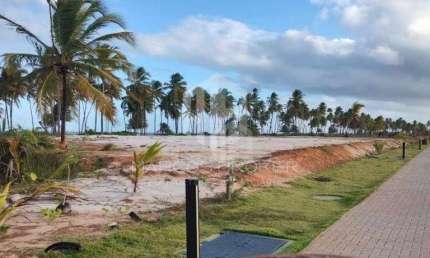 Oportunidade! Terreno Nascente no Praia do Castelo – 700m² | Praia do Forte, Bahia | Infraestrutura Completa e Valorização Garantida!