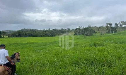 Fazenda à Venda em Catú, Bahia – 182 Hectares com Rio e Aguadas!