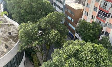 Apartamento com 1 quarto à venda na Avenida Sete de Setembro, 1451, Dois de Julho, Salvador