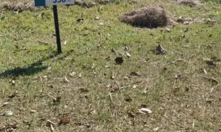 Terreno em Condomínio para Venda em Salto, Mirante dos Ipês