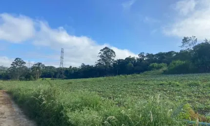 Chácara / sítio à venda na Estrada dos Fernandes, Parque Santa Rosa, Suzano