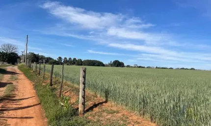 Área Rural para Venda em Tietê, Área Rural de Tiête