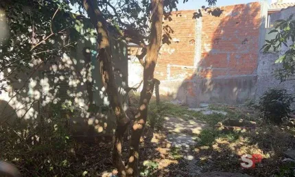 Terreno à venda na Avenida Danfer, Jardim Penha, São Paulo