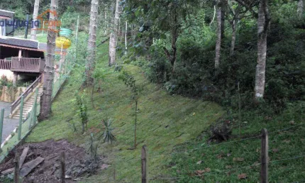 Terreno à venda, 1300 m² por r$ 350.000,00 - centro - santo antônio do pinhal/sp
