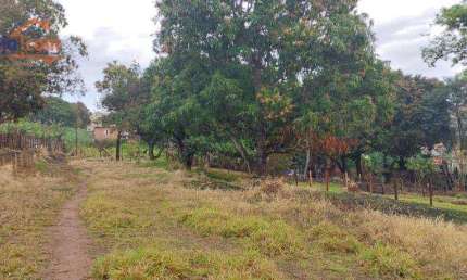 Terreno à venda no Parque Novo Horizonte - São José dos Campos/SP com 1556 m²