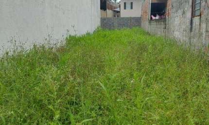 Terreno à venda, 125 m² por R$ 135.000,00 - Jardim Torrão de Ouro - São José dos Campos/SP