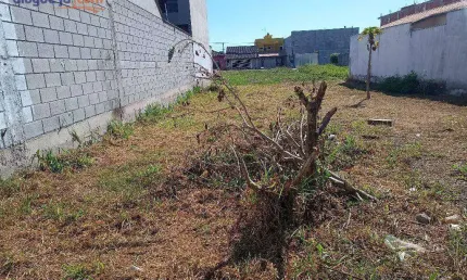 Terreno à venda, 156 m² por R$ 120.000,00 - Residencial Esperança - Caçapava/SP