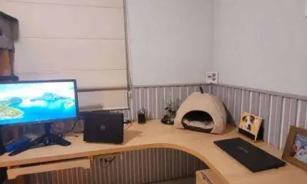 Casa com 3 dormitórios à venda, 250 m²  - vila isolina mazzei - são paulo/sp