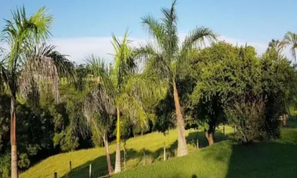 Terreno em condomínio fechado à venda no Centro, Porto Feliz  por R$ 3.850.000