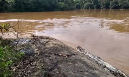 Chácara / sítio com 1 quarto à venda na Praça Dom Otávio, 100, Zona Rural, Turvolândia