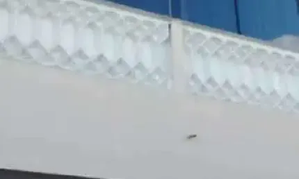 Casa em condomínio fechado com 2 quartos à venda na Avenida dos Mananciais, Taquara, Rio de Janeiro, 60 m2 por R$ 380.000