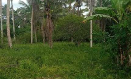 Terreno à venda no Centro de Conceição da Feira-BA com 43.560,00 m² de área. Aproveite essa oportunidade única!