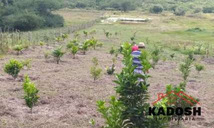 Terreno à venda em Feira de Santana-BA - Bairro Tomba - 4.600m² de área. Imperdível oportunidade de investimento!