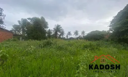Venda de 1 tarefa localizada na estrada da tapera aeroporto em feira de santana