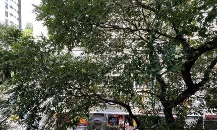 Apartamento para venda com 155 metros quadrados com 4 quartos em Copacabana - Rio de Janeiro - RJ