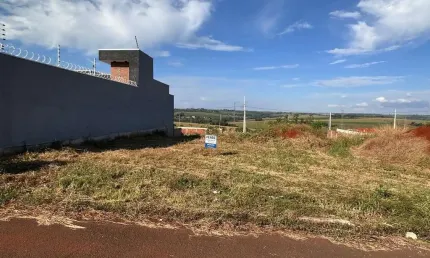 Terreno à venda na Avenida Orlando Beraldo, Jardim Aurora lll, Sarandi