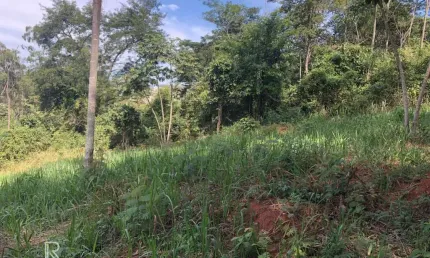 À venda: um lindo terreno plano de 378m² na encantadora cidade de bom jesus dos perdões!
