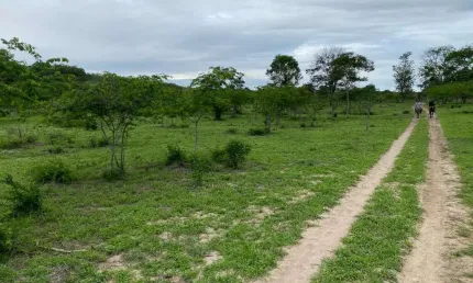 Oportunidade única: Fazenda à venda em Boa Vista do Tupim-BA, com 4 quartos, 2 salas, 3 banheiros e 996 hectares de área!