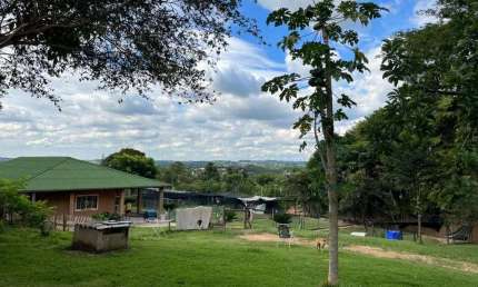 Chácara com 2 dormitórios, 3050 m² - venda por R$ 1.300.000,00 ou aluguel por R$ 5.000,00/mês - Col
