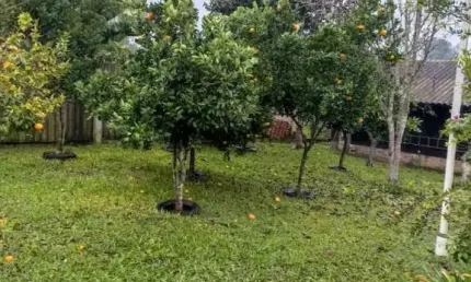 Terreno à venda na Quadra Vinte E Quatro, Centro, Eldorado do Sul