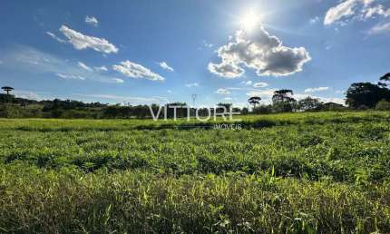 Chácara / sítio à venda na Rua Francisco Ferreira da Rocha Loures, s/n, Miringuava, São José dos Pinhais