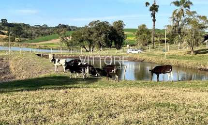 Fazenda à venda na Rua Pedro Chulis, Colônia Murici, São José dos Pinhais
