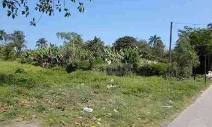 Terreno à venda, 5000 m² por R$ 1.700.000,00 - Jardim Ana Rosa (Palmeiras) - Suzano/SP