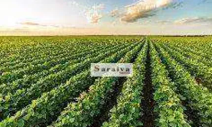 Fazenda à vend R$ 410.000.000 - . - Paranapanema/SP