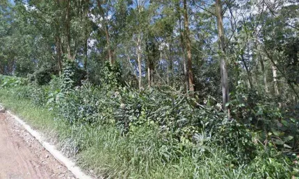 Terreno à venda, 5158 m² por R$ 550.000,00 - Assunção - São Bernardo do Campo/SP