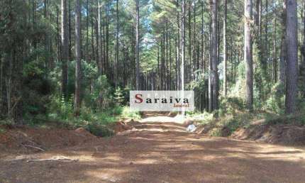 Fazenda à venda, 45770000 m² por R$ 750.000.000,00 - Área Rural de Avaré - Avaré/SP