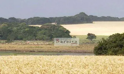 Fazenda à venda, 21620280 m² por R$ 450.000.000 - Centro - Paranapanema/SP