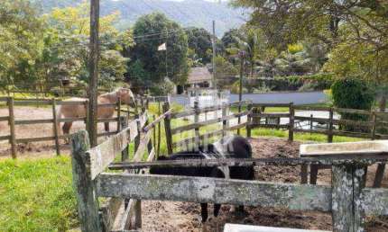 Sítio com 3 quartos à venda, 96000 m² por R$ 1.000.000 - Ponta Negra - Maricá/RJ
