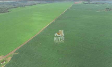 Fazenda com 4 dormitórios à venda, 12293600 m² por R$ 40.640.000,00 - Plano Diretor Sul - Palmas/TO