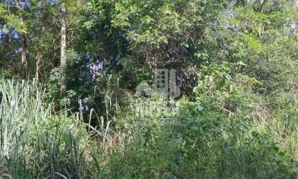 Terreno à venda, 4125 m² por r$ 210.000,01 - itaocaia valley (itaipuaçu) - maricá/rj