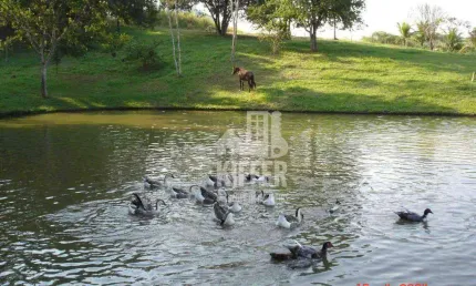Terreno à venda, 7707 m² por r$ 350.000,00 - caxito - maricá/rj