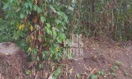 Terreno à Venda no Recanto | 900m² | Rua Residencial Nobre | Alto Padrão