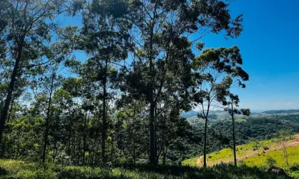 Terreno em condomínio fechado à venda na Avenida Francisco Lourenço, 432, Canto das Águas, Igaratá