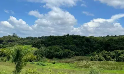 Terreno à venda na Rua Osvaldo Cruz, 181, Verava, Ibiúna
