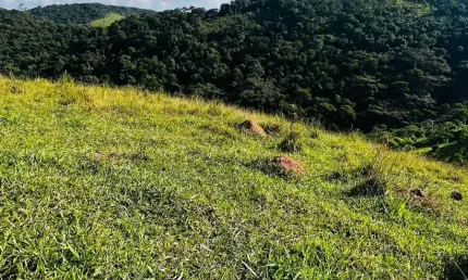 Terreno à venda na Avenida Francisco Lourenço, 9231, Águas de Igaratá, Igaratá