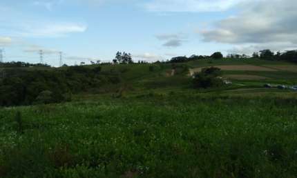 Chácara / sítio com 3 quartos à venda na Estrada Municipal da Cachoeira, 987, Cachoeira, Cotia