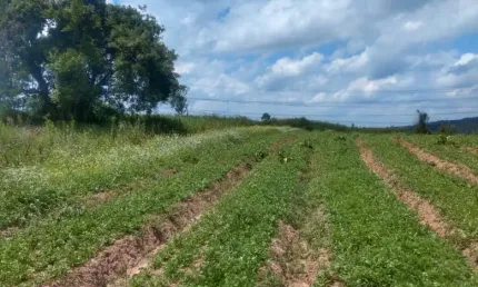 Terreno à venda na Estrada Municipal da Cachoeira, 9, Cachoeira, Cotia