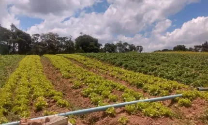 Terreno à venda na Estrada Municipal da Cachoeira, 9, Cachoeira, Cotia