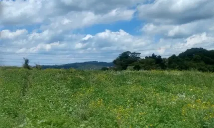 Terreno à venda na Estrada Municipal da Cachoeira, 9, Cachoeira, Cotia